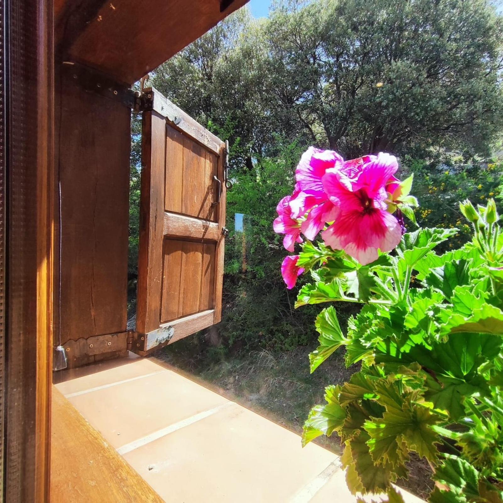 Refugio Del Aguila "Casa Diaman" Guest House Guejar Sierra Exterior photo